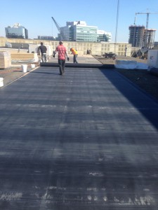 roof
